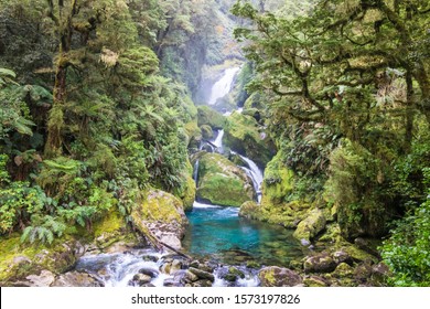 Mackay Falls Milford Track Nz