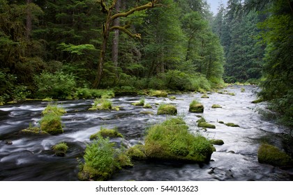 Mackenzie River, Oregon