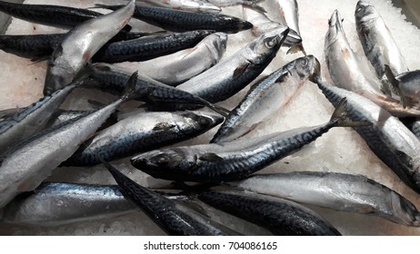 658 Mackeral Images, Stock Photos & Vectors | Shutterstock