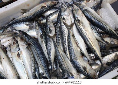 Mackerel At Billingsgate Fish Market In Poplar, London, UK.