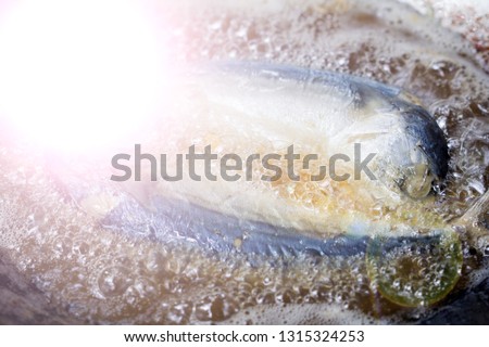 mackerel fish fried in pan oil thai style food, fried crispy