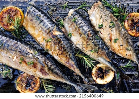 Mackerel fish on a grill plate with herbs and lemon slices, top view