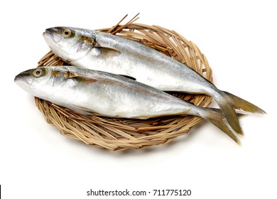 48,502 Mackerel White Background Images, Stock Photos & Vectors ...