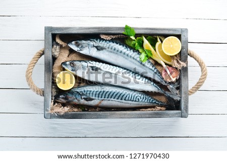Mackerel on a white wooden background. Raw fish Top view. Free copy space.
