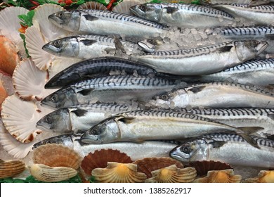 Mackerel - Seafood Shopping At A Market Place In Leeds, UK.