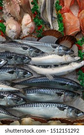 Mackerel - Seafood Shopping At A Market Place In Leeds, UK.