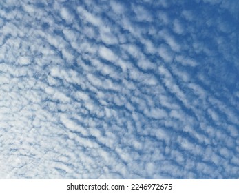 A mackerel sky is a common term for clouds made up of rows of Altocumulus rippling pattern similar in appearance to fish scales. Altocumulus floccus white fluffy clouds covering the blue sky. 
