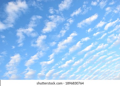 Mackerel Sky On A Sunny Day