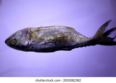 Mackerel That Has Been Dried To Make It Last Longer