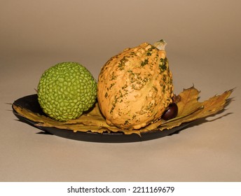 Maclura Pomifera Green Fruit With Yellow Squash Leaves On The Table. Beige Background. Autumn.