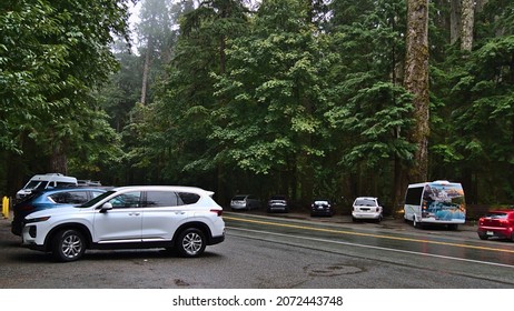 MacMillan Provincial Park, British Columbia, Canada - 09-26-2021: Cars parking at the side of the street at Cathedral Grove, Vancouver Island on rainy day with big trees. Focus on white car.