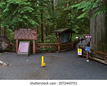 MacMillan Provincial Park, British Columbia, Canada - 09-26-2021: Information signs on the entrance of famous douglas fir forest Cathedral Grove, Vancouver Island. Focus on brown board on the left. 