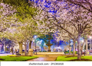 Macon, Georgia, USA Downtown With Spring Cherry Blossoms.