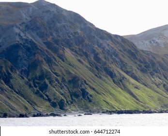 Macquarie Island