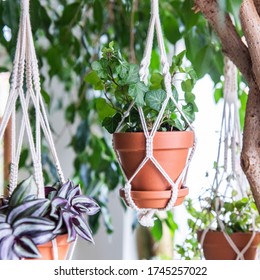 Macrame hanging basket made of cotton cord - Urban Jungle Trend - Houseplant decoration