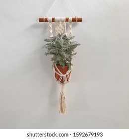 Macrame Plant Hanger With Cotton Yarn