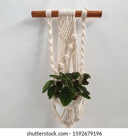 Macrame Plant Hanger With Cotton Yarn