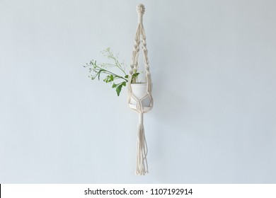 Macrame Plant Hanger On White Background.