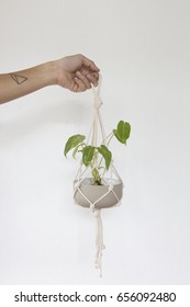 Macrame Plant Hanger . On A White Background