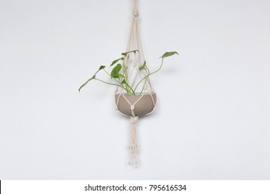 Macrame And Plant Hanger On White Background.