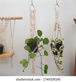 Macrame Plant Hanger For Your Home Interior So Natural And Beautiful