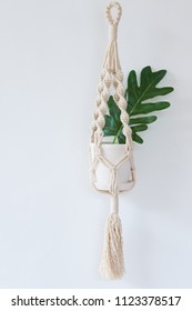 Macrame Plant Hangers In Scandinavian Interior.