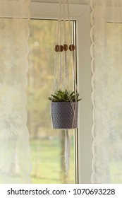 Macrame Plantpot Hanging At Home