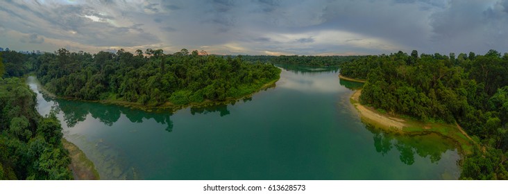 Macritchie Reservoir Panorama View