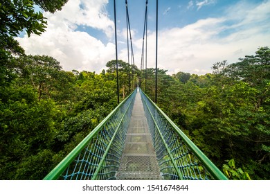 MacRitchie Reservoir Park And Nature In Singapore Greenery Water Cloud Sky 