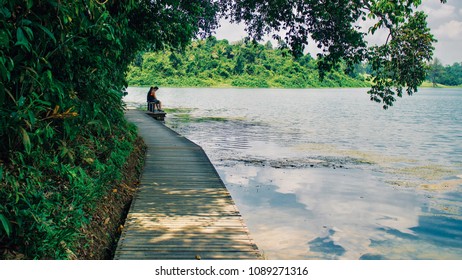 Macritchie Reservoir Park, Singapore