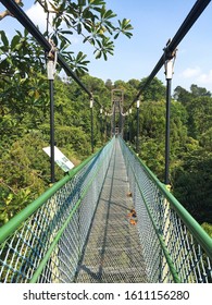 Macritchie Tree Top Walk Singapore