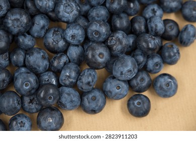Macro background texture of fresh blue ripe blueberries scattered on a rustic cardboard surface. Organic summer harvest copy space banner.