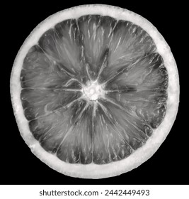 macro of a beautiful monochrome orange half section - Powered by Shutterstock