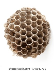 Macro Of Big Wasp Paper Nest  Isolated On White 