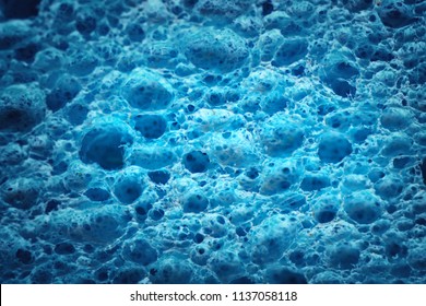 Macro of biological texture. Element of design. Cell blue background.