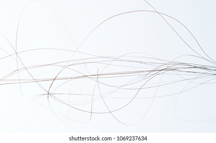 Macro of black curly woman hair isolated on white background - Shutterstock ID 1069237634