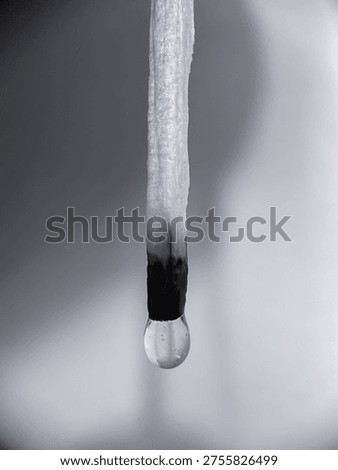 Macro black and white image of a burnt matchstick showing texture and detail, representing concept of end, burnout, or ignition.