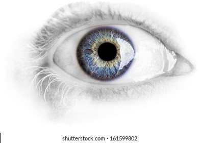 Macro blue eye with lots of details using studio lights isolated on white