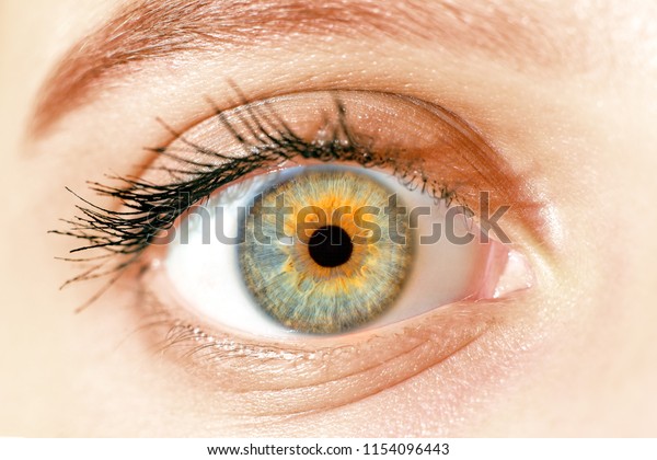 Download Macro Blue Yellow Eyes Iris Pupil The Arts Stock Image 1154096443 PSD Mockup Templates