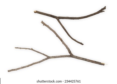 161,202 Branch stick Images, Stock Photos & Vectors | Shutterstock