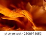 Macro brown feather,macro photo of brown hen feathers. background or textura,Chicken feather macro,background soft chicken feather color brown and orange 