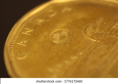 Macro Of A Canadian Loonie