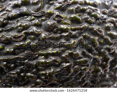 Macro close up of avocado skin showing the brown and green surface texture of the fruit. Fresh ripe avocado with smooth wavy surface that looks like a virus.