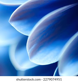 macro close up of blue flower petals - Shutterstock ID 2279074951