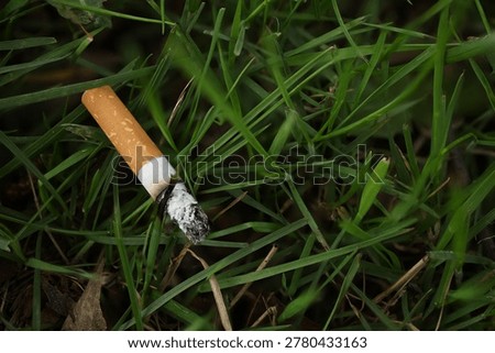 Macro close up of cigarette butt discarded in green grass