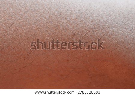 Macro Close Up of Human Skin Texture and Hair