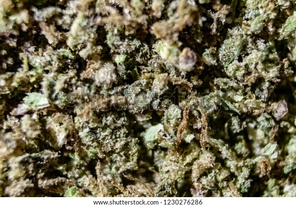 Macro Close Inside Marijuana Grinders Catching Stock Photo Edit