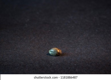 Macro close up photograph of a cannabis seed on dark neutral background, medical marijuana plant seed