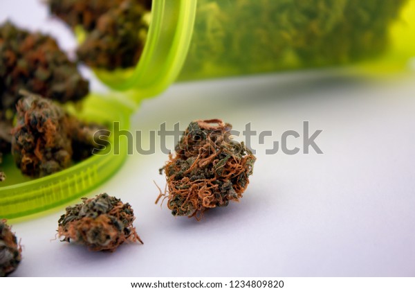 Macro Close Small Marijuana Bud Long Stock Photo Edit Now 1234809820