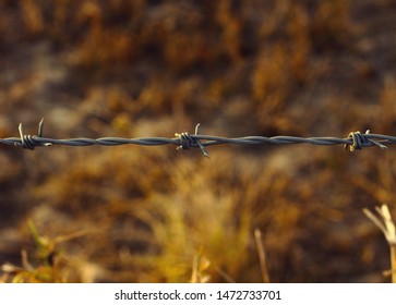 Macro Close Up Of Small Section Of Barbed Wire Fence, Cattle Farm North Queensland